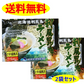 ★9月から値上げ★利尻漁業協同組合 利尻昆布ラーメン 塩味 2袋 セット 昆布入り 北海道 送料無料