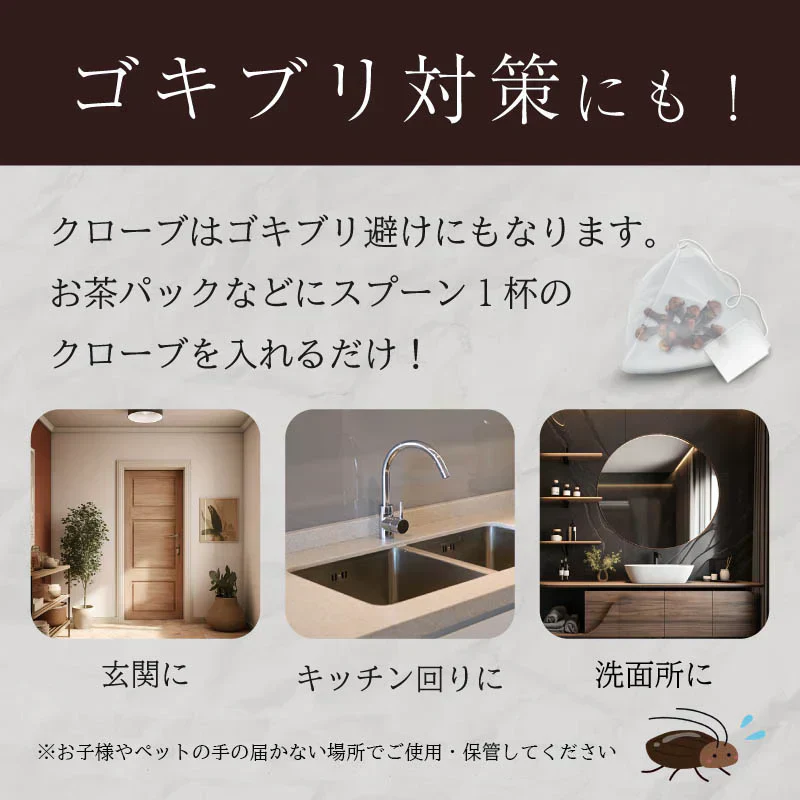 クローブ ホール オーガニック 無添加 ゴキブリ 対策 100g クローブゴキブリ チョウジ 丁子 スリランカ 有機JAS スパイスカレー セイロン スパイス 香辛料