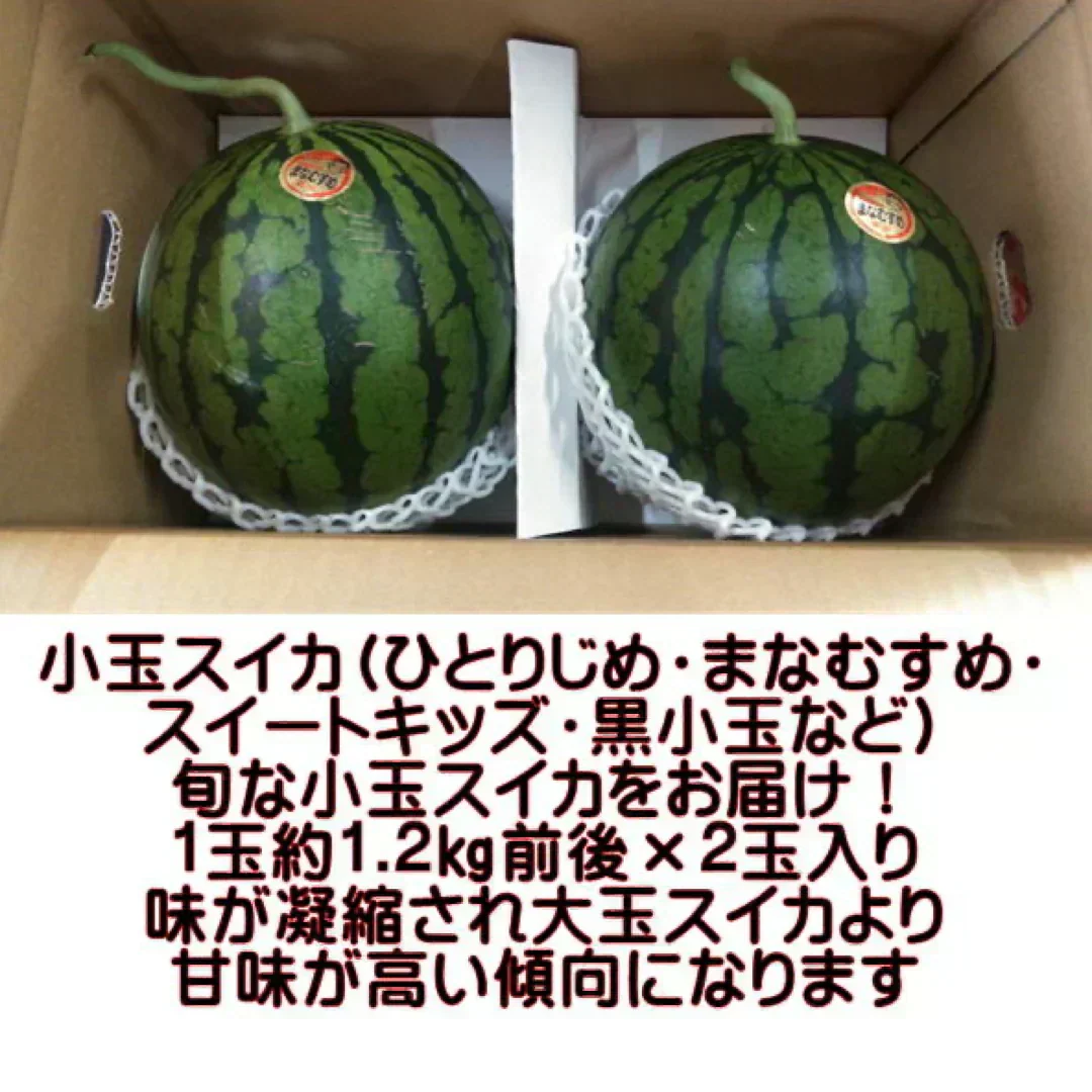 【6月上旬～7月上旬発送予定】小玉すいか (ひとりじめ・まなむすめ・スイートキッズ・黒小玉など) 熊本産 2玉入