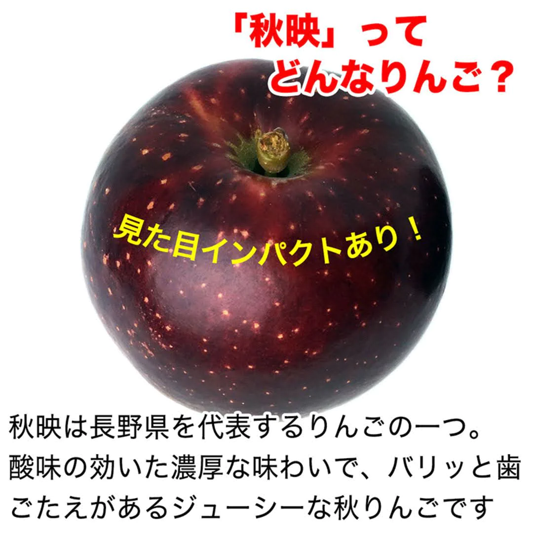 【2023年産予約開始！】秋映 訳あり 約4.5kg (12-25玉) 9月下旬頃発送開始予定 #YAA0B045