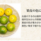 【10月上旬～中旬頃より順次出荷】みかん 5kg 送料無料 訳あり 箱込（内容量4kg＋補償分500g) 無選別 熊本みかん 極早生みかん 早生みかん 温州みかん蜜柑 ミカン