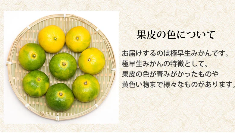 【10月上旬～中旬頃より順次出荷】みかん 5kg 送料無料 訳あり 箱込（内容量4kg＋補償分500g) 無選別 熊本みかん 極早生みかん 早生みかん 温州みかん蜜柑 ミカン