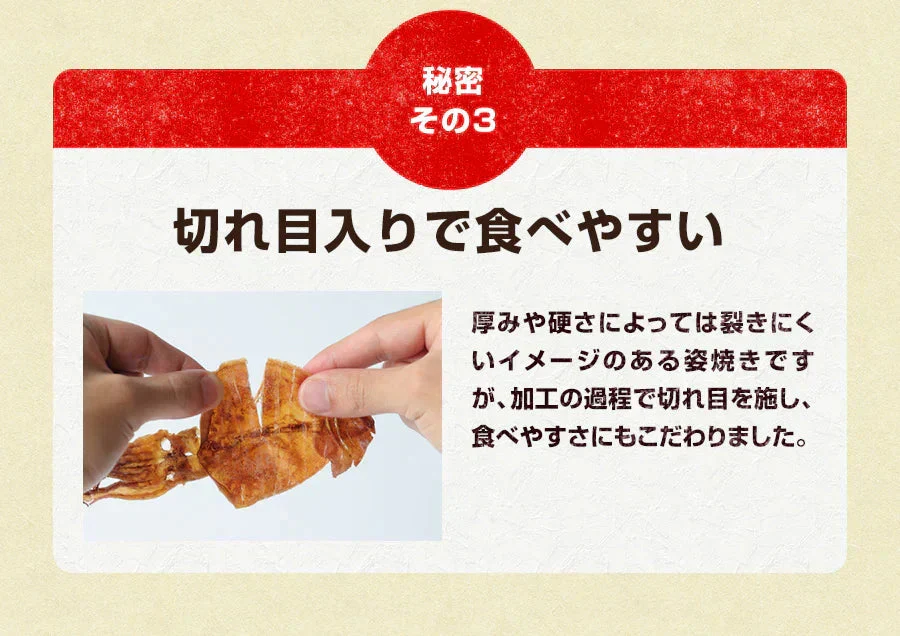 120g直火焼きするめ