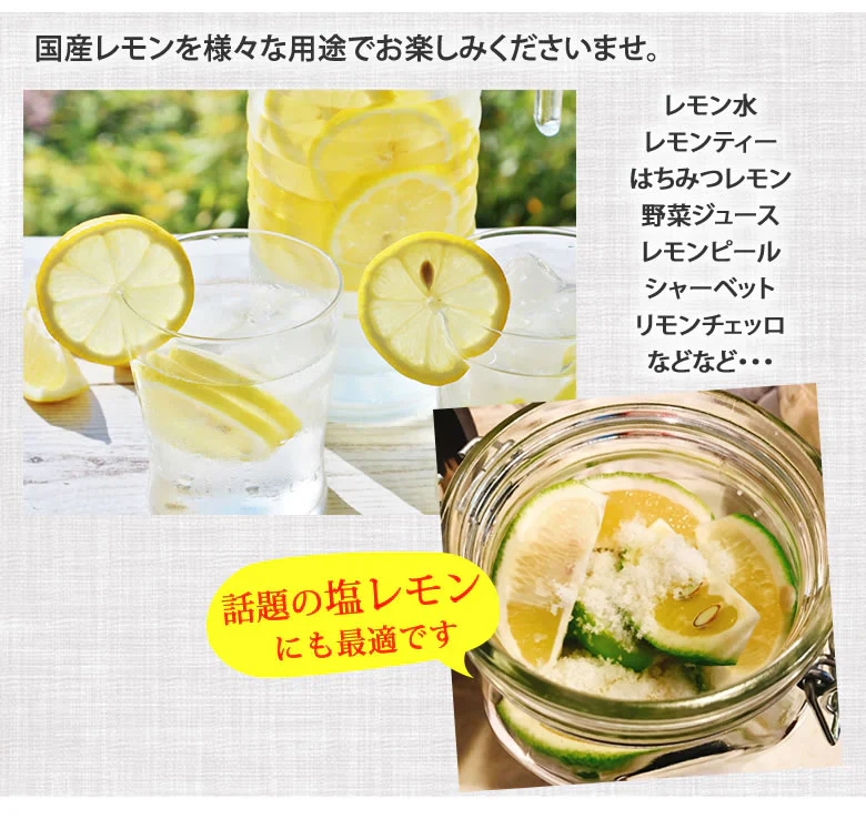 レモン 訳あり 国産レモン 送料無料 5kg 熊本県産 減農薬 防腐剤ワックス不使用 れもん グリーンレモン 国産