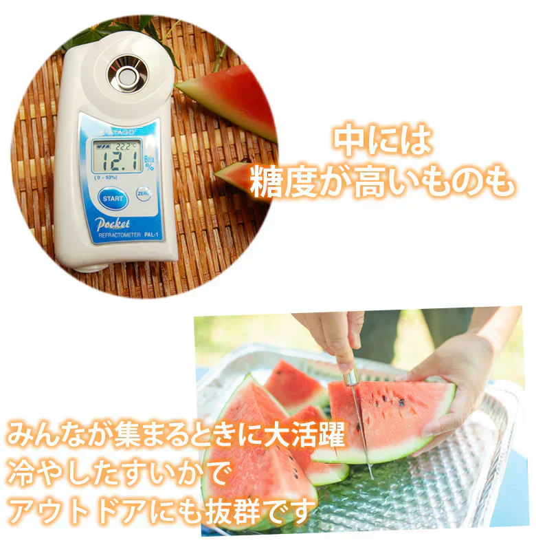 すいか 訳あり 大玉すいか 送料無料 6kg以上(6～10kg) 1玉 L〜3L 熊本すいか お取り寄せ スイカ 熊本県産 すいか 西瓜 フルーツ