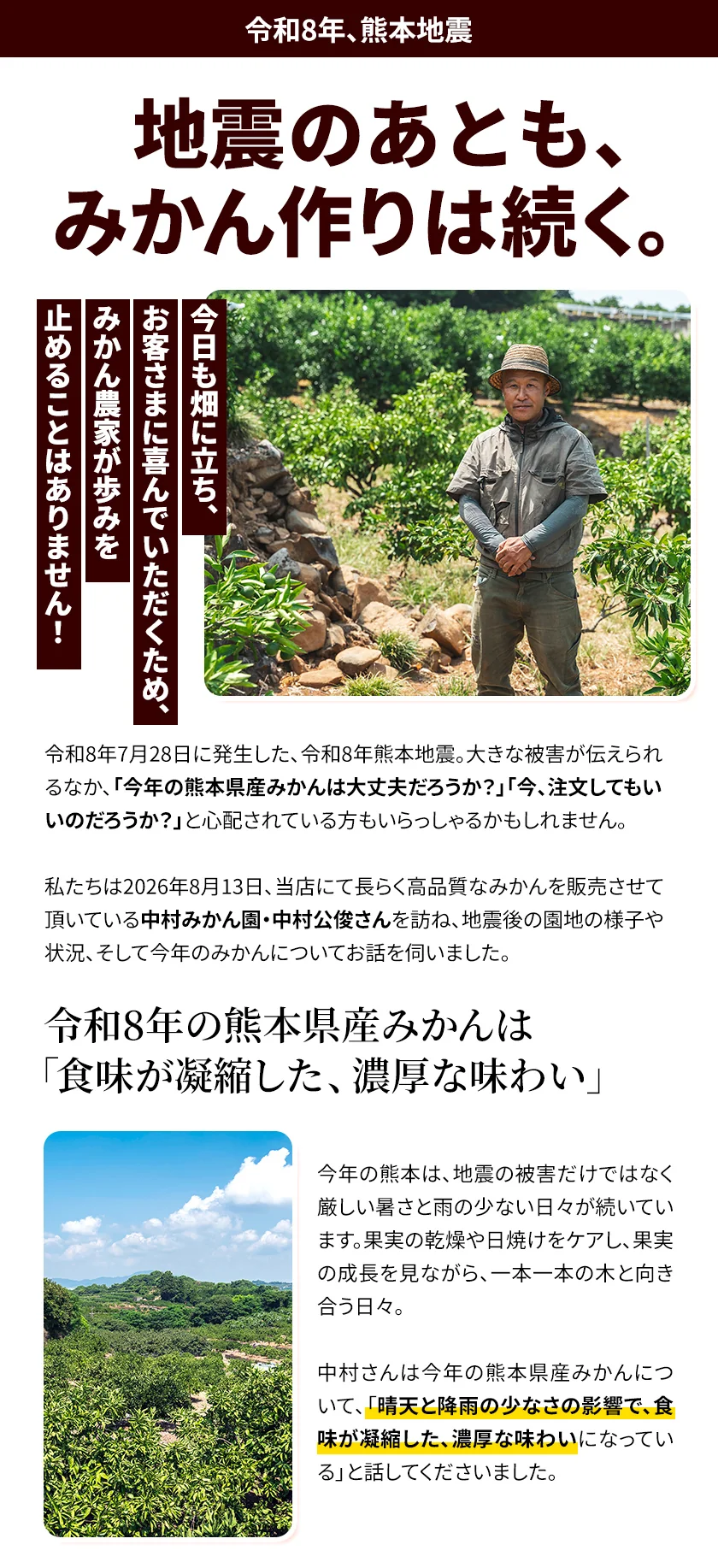 【大容量】熊本県産 訳あり 小玉 みかん 9kg 熊本 送料無料 小玉みかん ミカン フルーツ お取り寄せ 柑橘 フルーツ 果物   《9月中旬-10月中旬頃より発送予定》