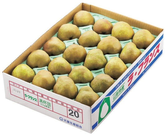 訳あり ラ・フランス 山形県産 西洋梨 約5kg 送料無料※一部地域を除く