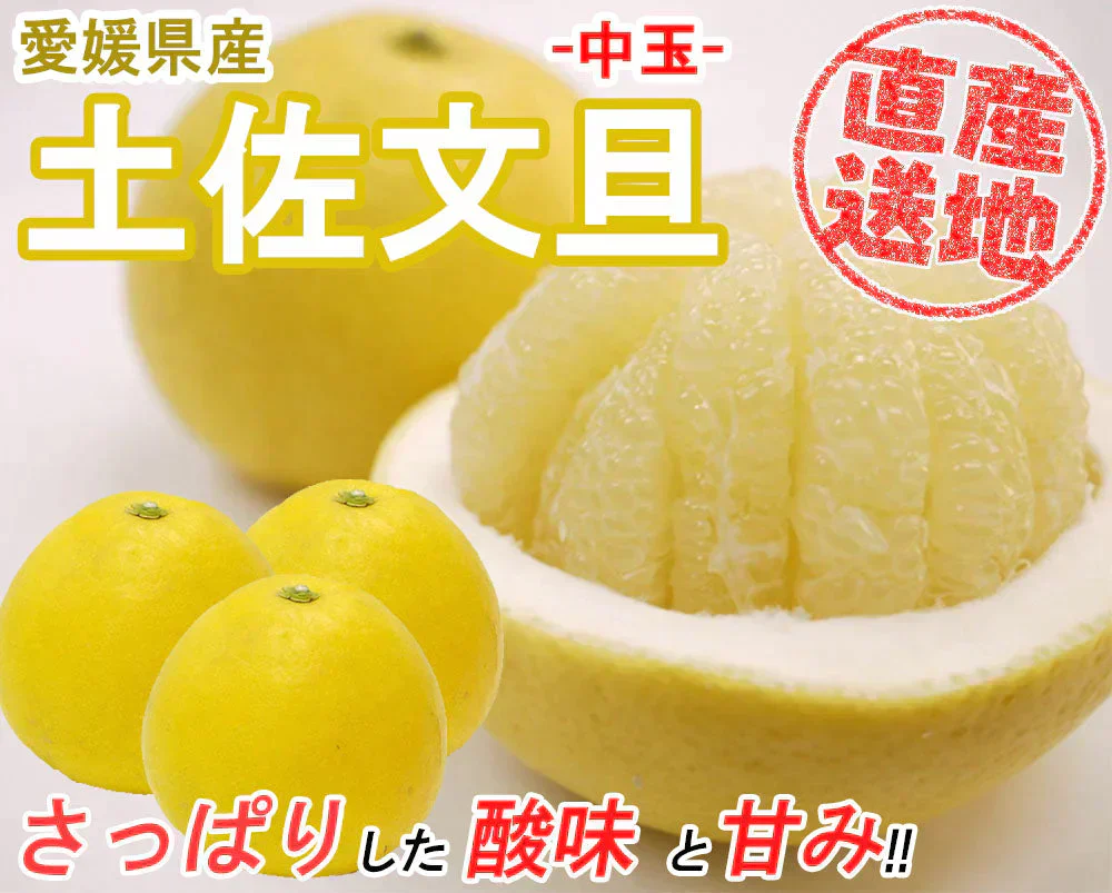 土佐文旦 中玉 4kg 送料無料 ご家庭用 箱買い サイズミックス みかん 柑橘 フルーツ 果物 産地直送 愛媛県産 YDF-007