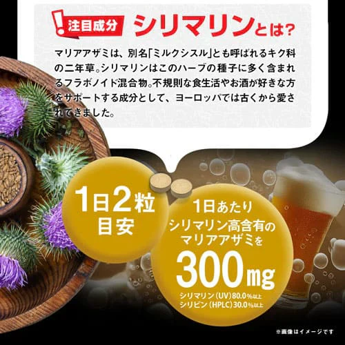 大肝神 だいかんじん 60粒 シリマリン マリアアザミ ミルクシスル サプリメント お酒の席 ウコン クルクミン 亜鉛 牡蛎エキス 垂盆草 サルメントシン 宴会 防止 健康 RoyalBS