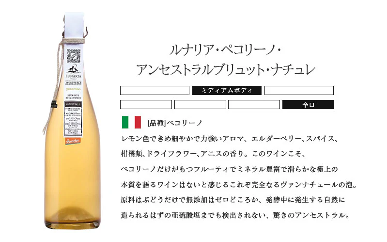 【送料無料】 自然派 ナチュール オレンジワインセット第1弾[750ml×6本]【北海道・東北・四国・九州・沖縄県は必ず送料がかかります】