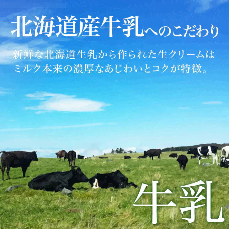 北海道 チョコミントアイス 12個 ～極ミント～ ベイクドアルル
