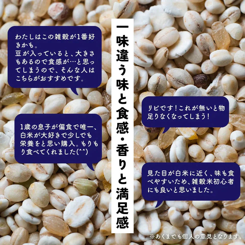 雑穀 雑穀米 国産 健康重視ヘルシーブレンド 8kg(400g×20袋) 無添加 無着色 業務用サイズ 送料無料