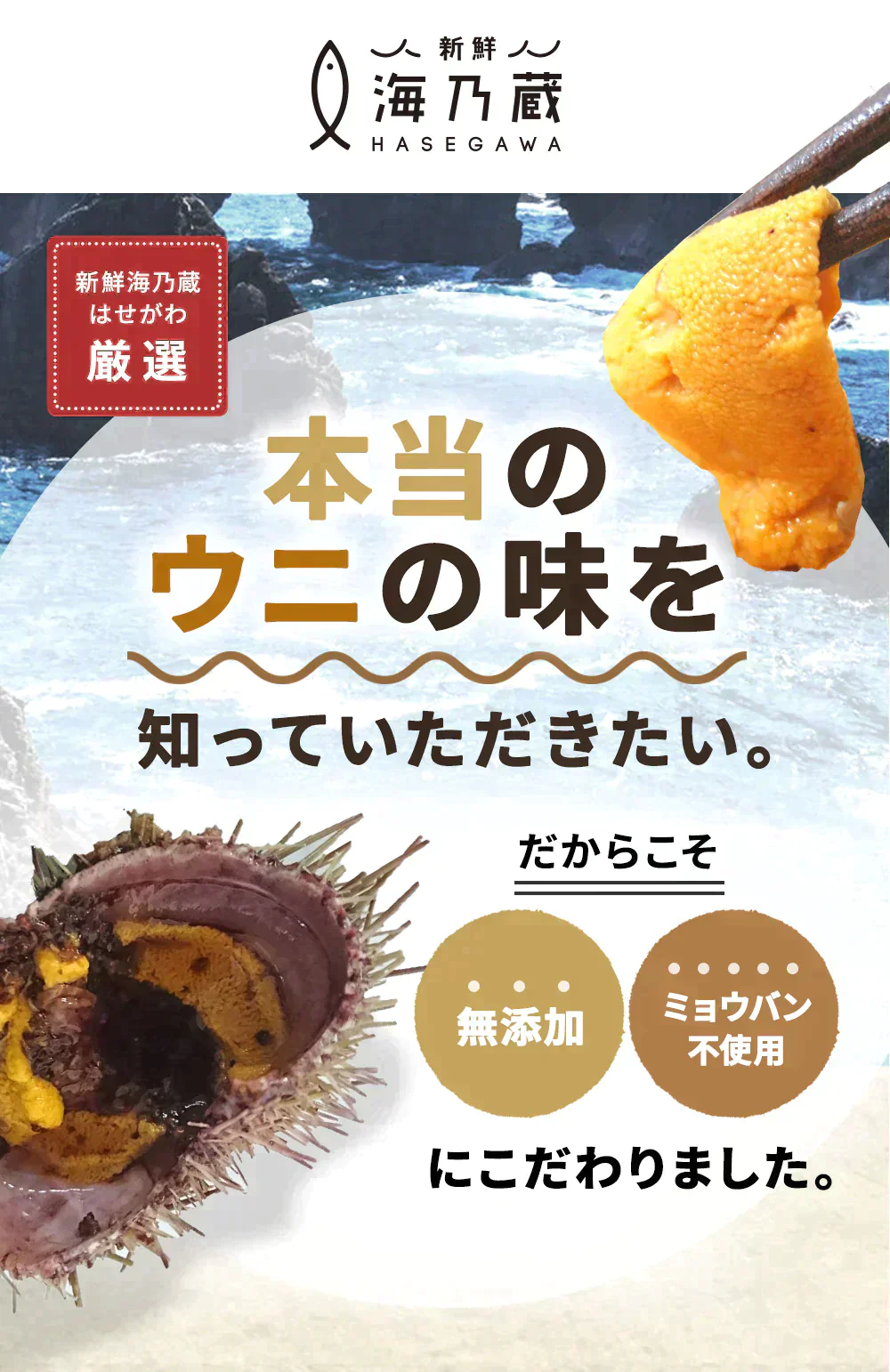 新鮮市場 訳あり ウニ 無添加 ブランチ 冷凍 生うに 100gｘ2パック 刺身 チリ ミョウバン 不使用 ギフト プレゼント 海産物 クリスマス お歳暮 母の日 父の日