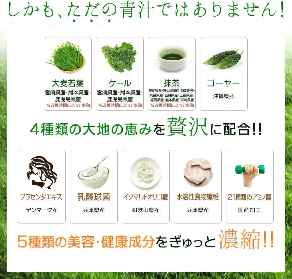 【輝きの青汁プラセンタ 入り 3g×30包入り】 ダイエット サプリメント 大麦若葉 抹茶 乳酸菌 食物繊維 ビタミンC カルシウム 青汁プラセンタ