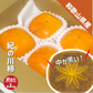 紀の川柿 訳あり 約1kg (４〜５玉) 和歌山県産 たねなし 種無し 平核無柿 刀根早生柿 送料無料 柿 カキ 黒あま ギフト