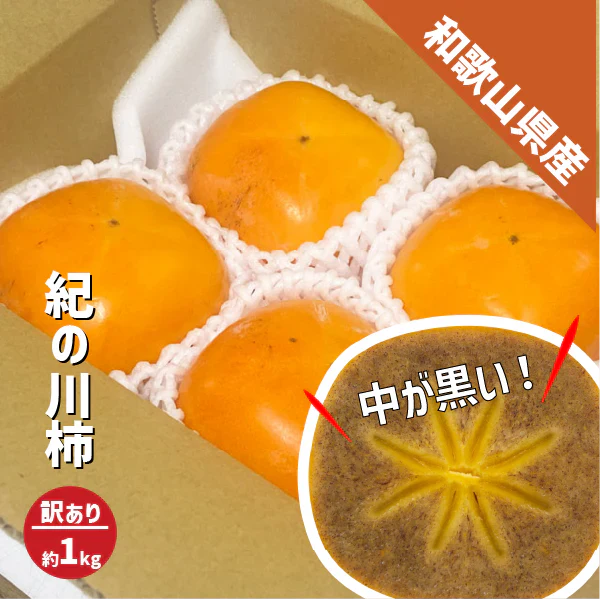 紀の川柿 訳あり 約1kg (４〜５玉) 和歌山県産 たねなし 種無し 平核無柿 刀根早生柿 送料無料 柿 カキ 黒あま ギフト