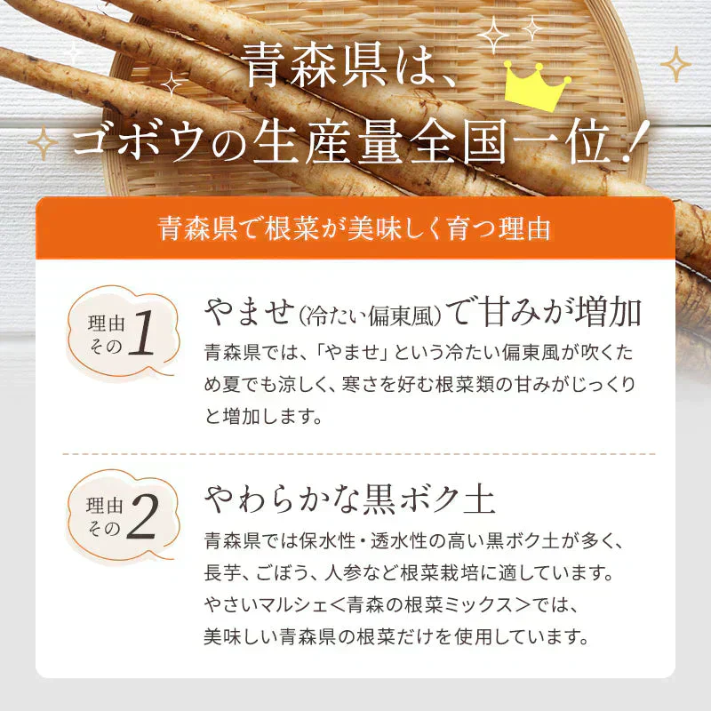 乾燥野菜 100g×2袋【青森の根菜ミックス】やさいマルシェ 無添加 簡単 無駄なし 時短 青森産 長いも 大根 人参 キャベツ ゴボウ アウトドア 災害常備菜 長期保存 食物繊維 国産