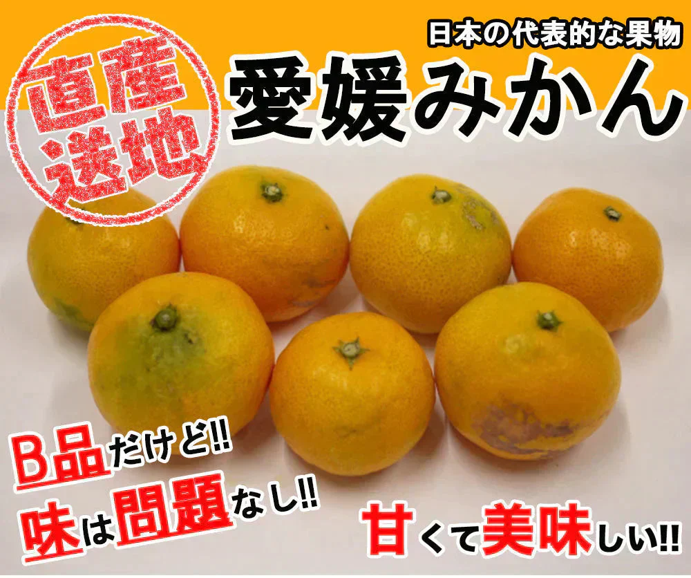 みかん 訳あり 送料無料 5kg B品 愛媛みかん 温州みかん ミカン 蜜柑 安い 甘い 箱買い 産地直送 愛媛県産 YDF-001