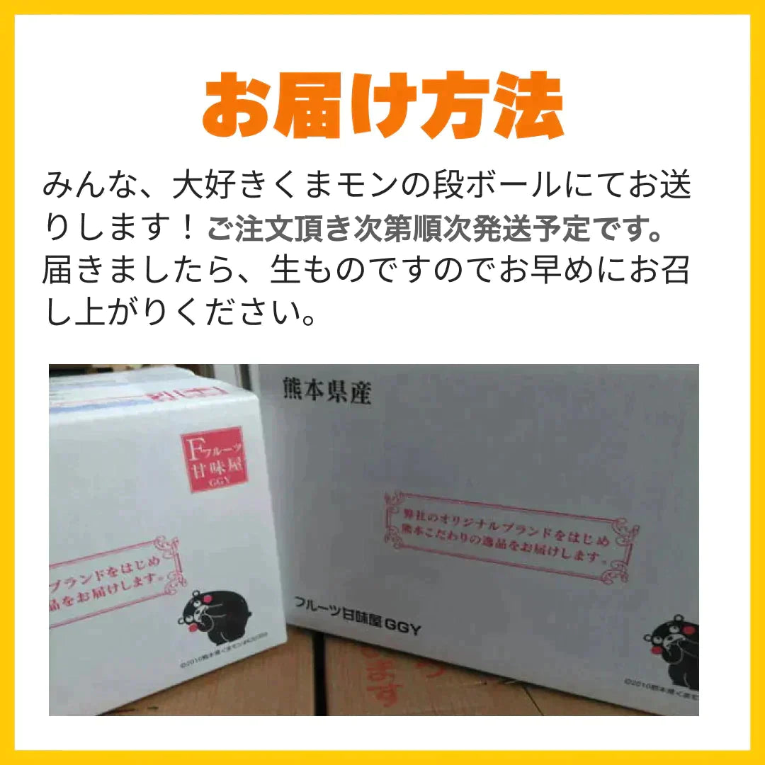 熊本産 みかん 訳あり 約10kg（箱込10kg 9kg+保証分500g）ご家庭用 送料無料 ※不良500g以上の場合は再送対応可能【ご新規さん限定商品】