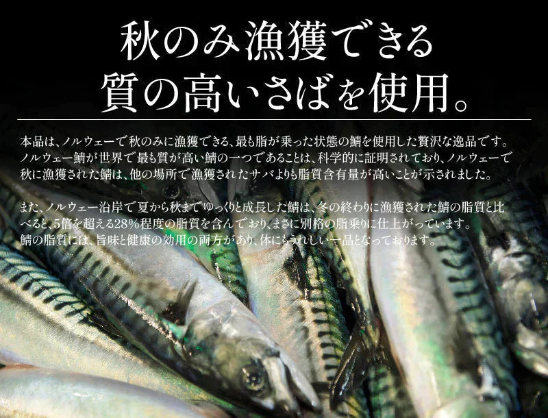 さば 無添加 無塩 トロさば サバ 鯖 約2kg(12〜16尾）トロ鯖 海鮮 天然 美味しい 魚 魚介 海産物 おかず おつまみ 乾き物 酒の肴 贈り物 お取り寄せグルメ 食べ物 おいしい 絶品