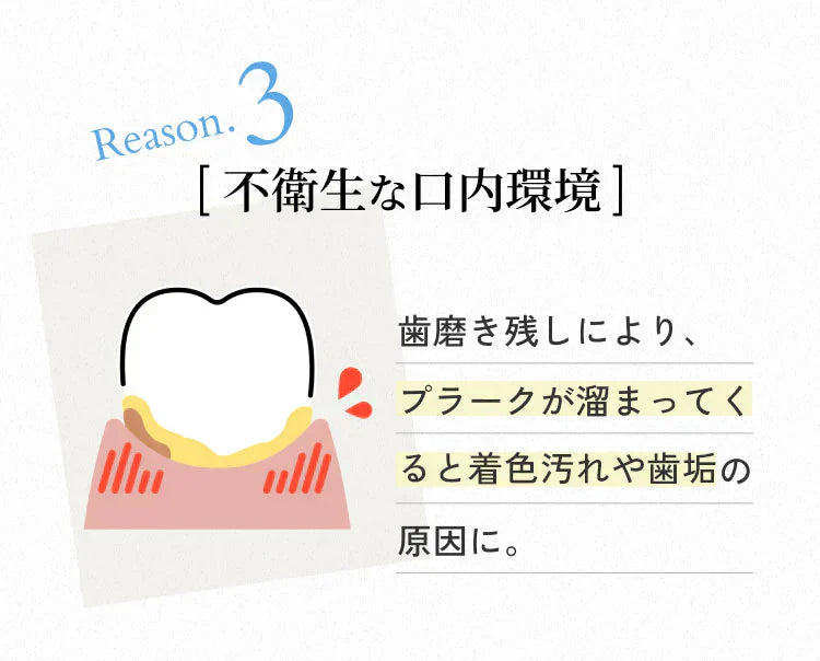 【単品】パールホワイト ホワイトニング 歯を白くする 歯ブラシ 薄型ヘッド 毛の硬さ：ふつう 日本製 自宅 ホームホワイトニング プレミアム 歯ブラシ