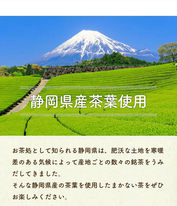 静岡県産緑茶 ティーライフのまかない茶 100個入