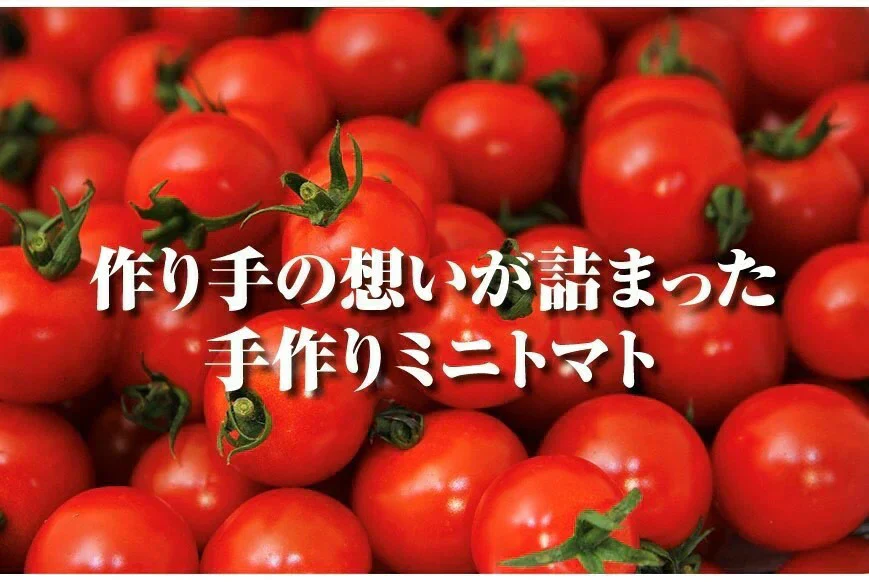 送料無料　ソムリエミニ トマト プラチナ100gとダイヤ100gの食べ比べセット