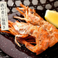 越前産 がらえび 1kg（500g×2箱）約70尾入り ガラエビ［送料無料］ えび 冷凍 エビ 冷凍えび 美味しい 冷凍エビ 甘い 冷凍海老 産地直送 国産 福井県 お刺身 お徳用 贈り物 ごちそう 贈答 母の日 プレゼント ギフト  母の日思いの 健康 実用的 父の日 子供 孫