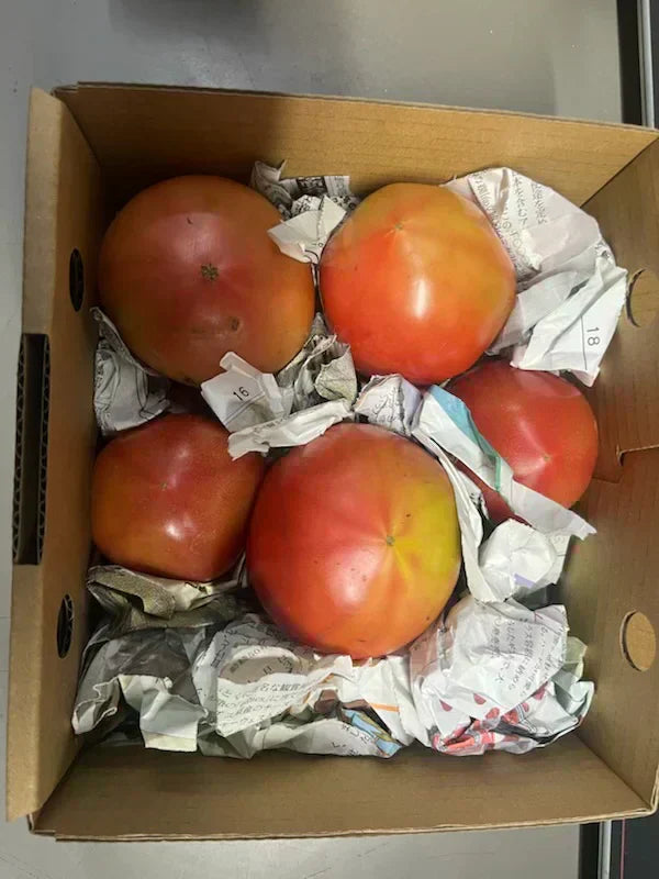 【予約販売/9月中旬〜10月中旬頃より順次発送開始予定】トマト 🍅700g 常温便配送 (トマト・ミディトマト・ミニトマトなど種類は出品者おまかせ) 60サイズ【北海道・東北・沖縄配送不可】【カウシェファーム収穫対象商品】