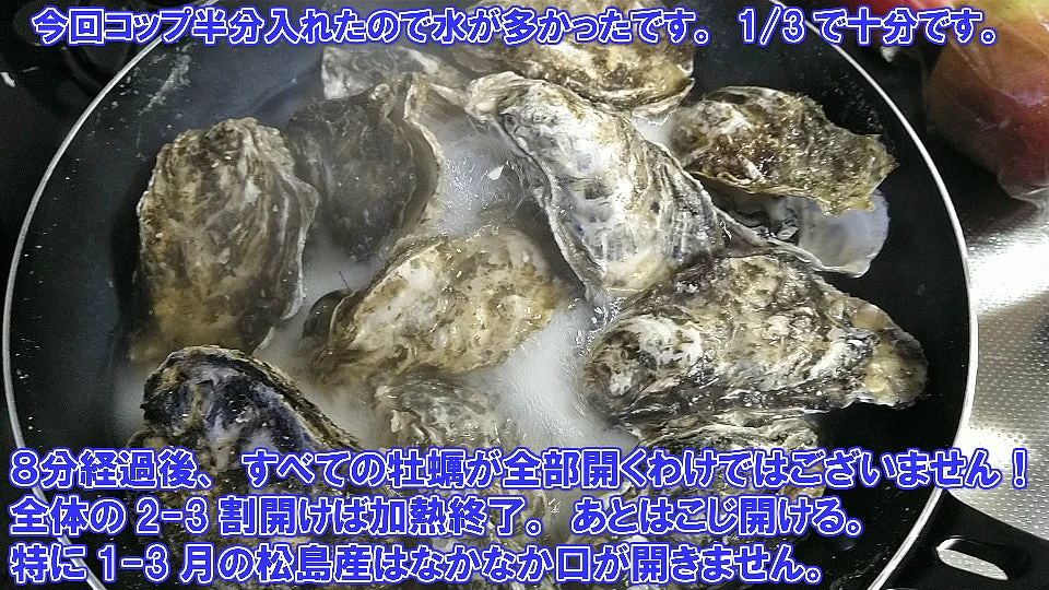 「無選別蒸し缶２ｋｇ」牡蠣ナイフ付き 【約２４粒】  牡蠣 殻付き  宮城県産 無選別牡蠣 カキ 加熱用 松島牡蠣屋 【80】