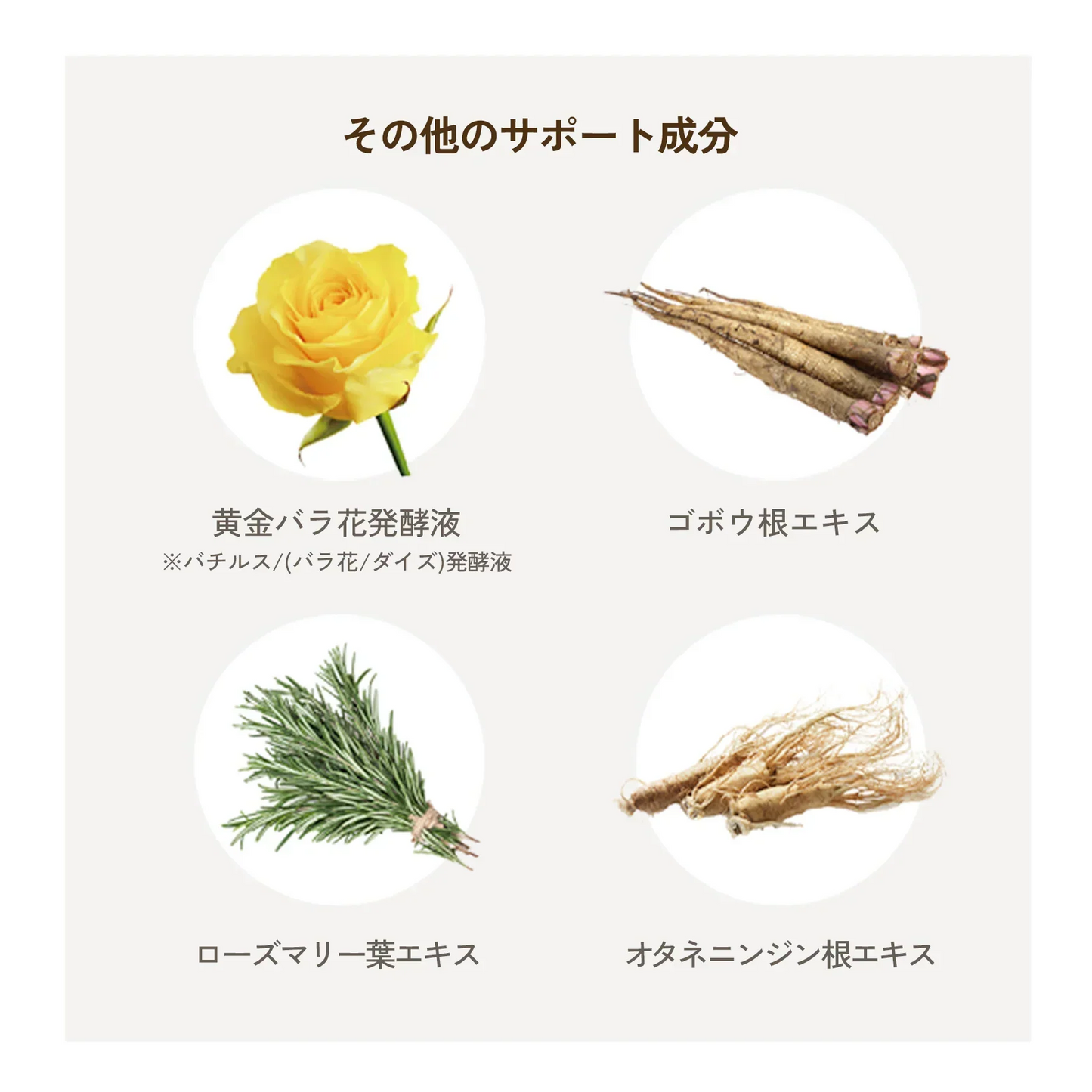 ルーツヘアー アイラッシュセラム 3ml/まつ毛美容液 ヒト毛根細胞順化培養液配合 育毛のプロが開発 30種類以上の栄養成分 国産 日本製 まつ毛にはまつ毛の幹細胞  まつ毛と地肌にアプローチするまつ毛用セラム まつ毛の根本の皮膚を保湿し、美しいまつ毛を維持します まつ毛の毛根から抽出した、特許取得のヒト毛根細胞順化培養液を配合 国産のヒト毛根幹細胞由来 目元美容液