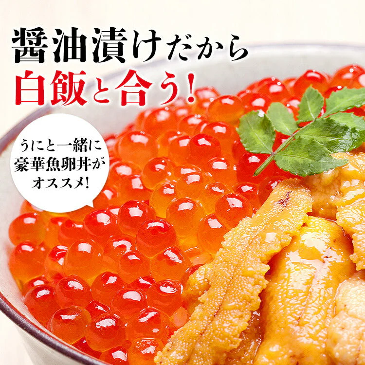 【タイムセール】最安値に挑戦！紅鮭いくら 醤油漬け 500g(250g×2P) イクラ いくら さけ 鮭 サケ 小分け 海鮮 丼 軍艦 手巻き 寿司 ちらし ikura 送料無料 冷凍便 お取り寄せグルメ 食品 ギフト 海鮮