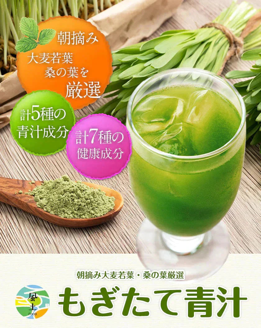 朝摘み もぎたて 青汁 大麦若葉 90g(3g×30包) 送料無料 美味しい 飲みやすい 青汁 乳酸菌 プラセンタ 食物繊維 ダイエット 甘い青汁《3-7営業日以内発送(土日祝除く)》