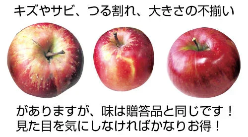 青森県産 訳あり 葉とらず ふじ × 王林 りんご 5kg(約14～18個)※11月下旬よりご予約順に発送【指定日不可】