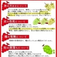 福島県産 秀品 シャインマスカット 大房２房セット