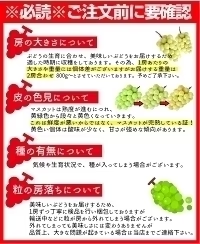 福島県産 秀品 シャインマスカット 大房２房セット