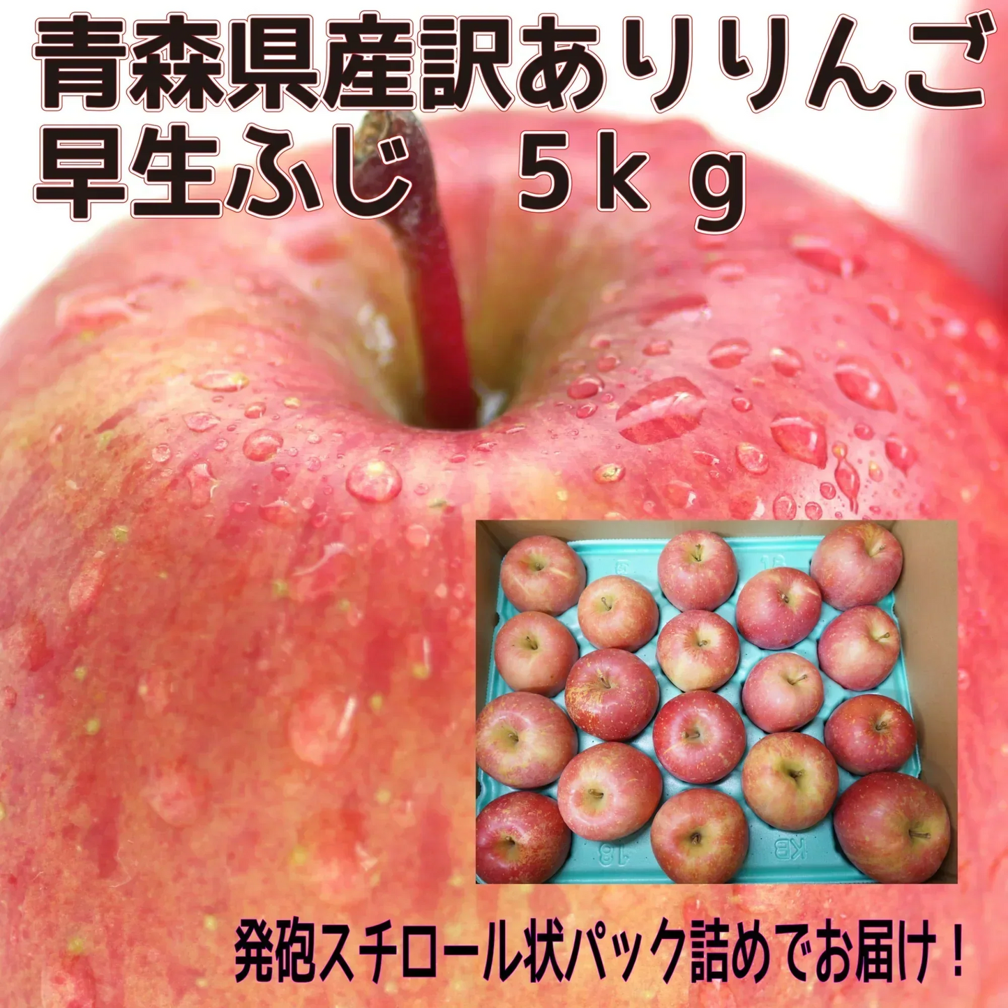 青森県産　家庭用　早生ふじ（弘前ふじ）　5kg　全国送料無料！