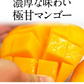 宮崎県産 完熟マンゴー マンゴー 2玉 化粧箱入り (Mサイズ:約240g～約309g) 送料無料 健康 ギフト プレゼント フルーツ 食べ物 贈答 旬の果物 贈答用