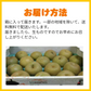 梨 訳あり（豊水・秋月・新高・愛宕など）約5kg（約5～24玉
