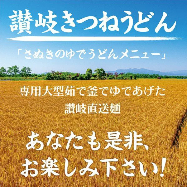 讃岐のきつねうどん 4食 送料無料 食品 お試し グルメ うどん 讃岐うどん きつねうどん おあげ あげ きつね 一丁