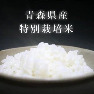 【玄米】無農薬＆化学肥料不使用　特別栽培米 お米 つがるロマン ５kg
