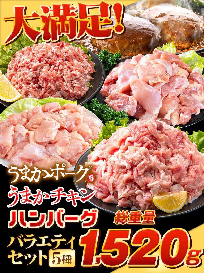 総重量1,520g! お肉5種 バラエティセット 肉 豚肉 鶏肉 ハンバーグ 5種 大容量 肉 福袋 切り落とし 豚ミンチ 国産 豚 ミンチ うまかチキン 若鶏 モモ肉 むね肉 デミグラス  1-5営業日以内に発送予定（土日祝除く）