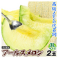 アールスメロン 2玉 1箱 産地おまかせ ご家庭用 3L以上