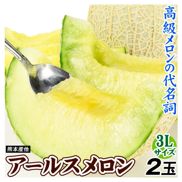 アールスメロン 2玉 1箱 産地おまかせ ご家庭用 3L以上