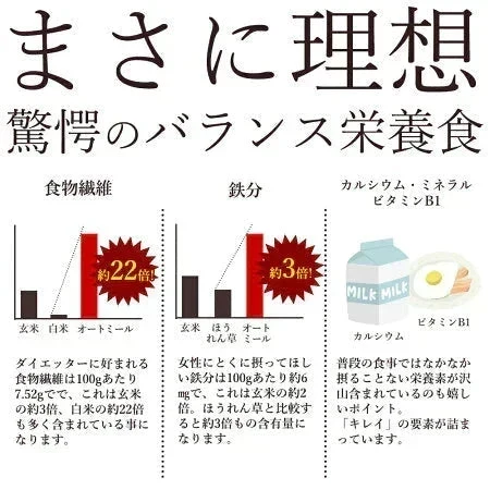 お試し 低糖質 スイーツ オートミール 送料無料【ケーキ屋さんの低糖質クッキー】ごろごろオートミールシリアルクッキー16枚  [ 置き換えダイエット ダイエット ロカボ スイーツ 食品 食物繊維 低糖質  ]