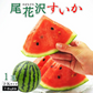 【7月下旬-8月下旬頃からご注文順次】山形県産 尾花沢すいか 1玉 (秀品 1玉 約7-8kg前後)大玉スイカ すいか スイカ 西瓜 大玉 夏ギフト お中元 暑中見舞い ギフト 贈り物 プレゼント 人気 果物 フルーツ 山形県 お取り寄せ