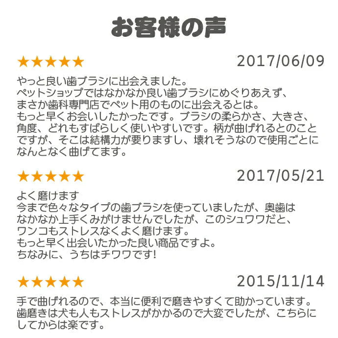 犬用 歯ブラシ / Ci シュワワ / 4色アソート/12本セット【Ciメディカル 歯ブラシ】【メール便送料無料】