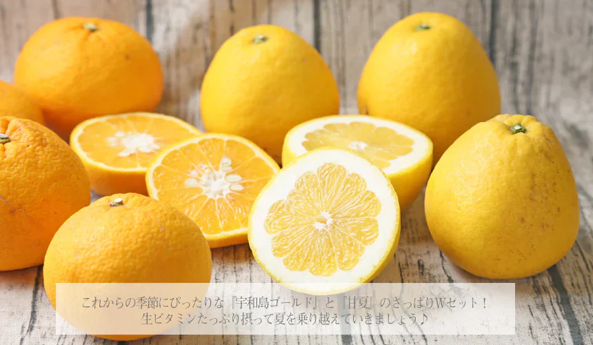 宇和島ゴールドと甘夏のさっぱりＷセット　10kg（各5kgずつ）（f ゴ05甘05）（葉傷・枝傷・黒点のあるものが含まれます）（愛媛県産）（送料無料）河内晩柑 美生柑 愛南ゴールド 夏文旦 甘夏 みかん