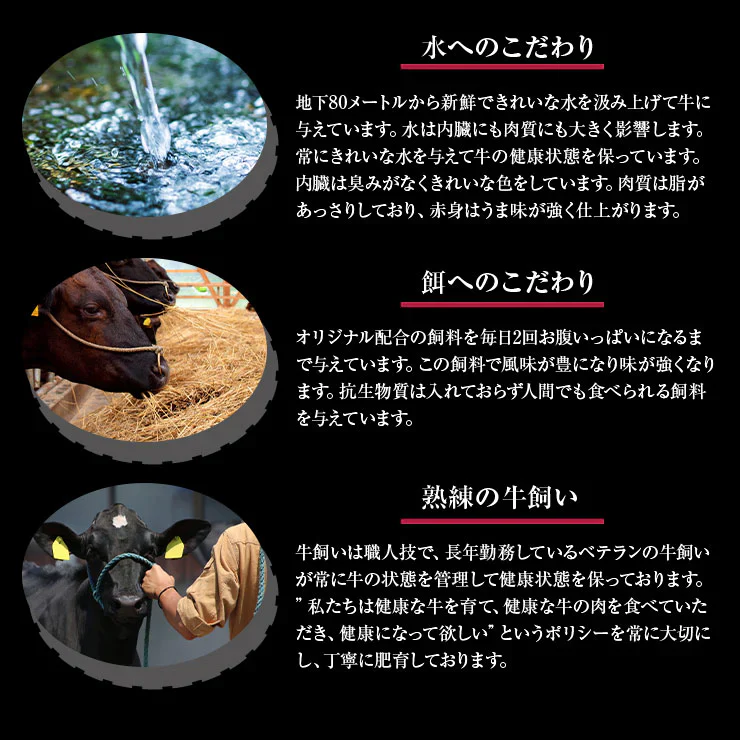 お歳暮 御歳暮 プレゼント ギフト 贈り物 ヒレステーキ フィレステーキ ヘレステーキ ビーフステーキ ステーキ肉 150ｇ×4枚 宮崎県産 黒毛和牛 EMO牛（有田牛/エモー牛） お取り寄せグルメ  冷凍食品 おかず 国産 九州産　テンダーロイン 牛肉 ステーキ肉 ビフテキ 抗生物質 遺伝子組換え飼料 不使用