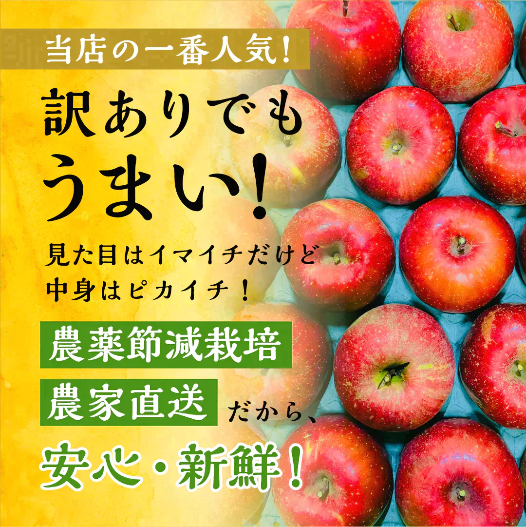「サンふじ3キロ箱訳アリ品」農林水産大臣賞 訳あり りんご サンふじ ふじ 長野県産 安曇野 信州産 産地直送 送料無料 3キロ 箱使用 果物 フルーツ 鮮度抜群 産地直送
